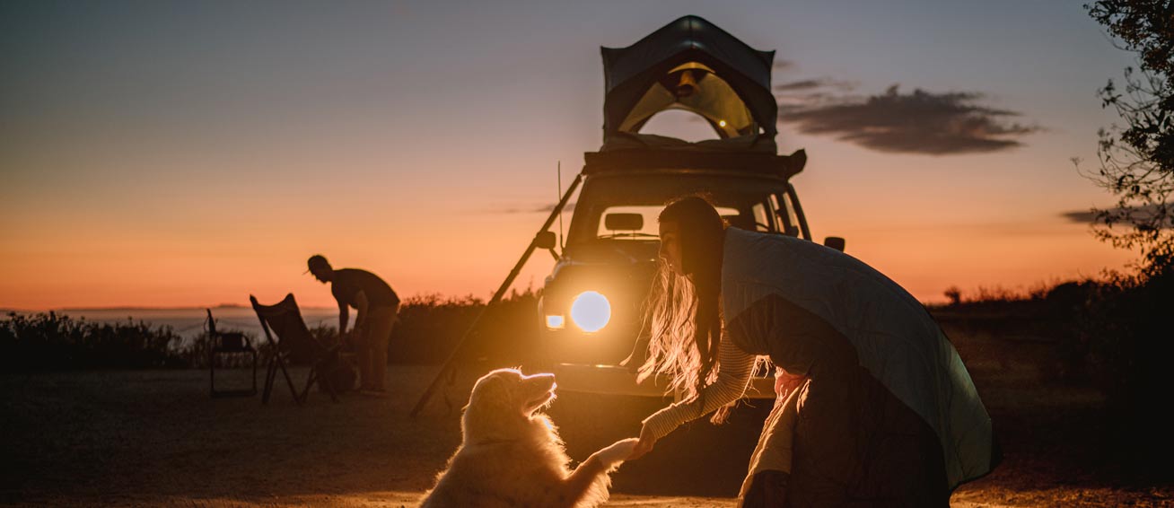 General Bottom Image